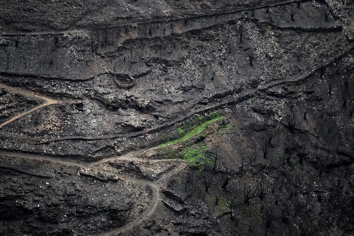 A-patch-of-green-vegetation-remains-next-to-beehives-surrounded-by-the-vegetative-layer-which-had-turned-to-ash-after-a-wildfire-in-August-in-the-municipality-of-Villamartin-de-Valdeorras-in-the-Serra-do-Larouco-Galicia-region-Spain-November-7-2025