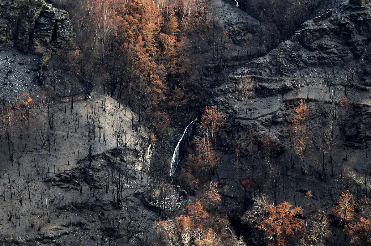 A-waterfall-surrounded-by-the-entire-vegetative-layer-which-had-turned-to-ash-after-a-wildfire-in-August-in-the-municipality-of-Villamartin-de-Valdeorras-in-the-Serra-do-Larouco-Galicia-region-Spain-November-7-2025-Before-the-fires-these-waterfalls-were-not-visible-due-to-the-density-of-the-forest