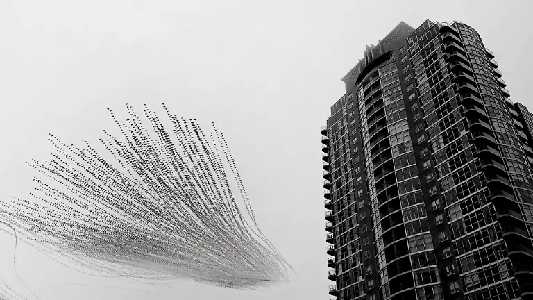 Runnerup_CreativeNature_Raghuvamsh_Chavali