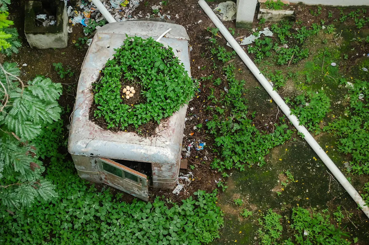 SpecialMention_Coexistence_Milap_Madhikar