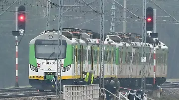560301920