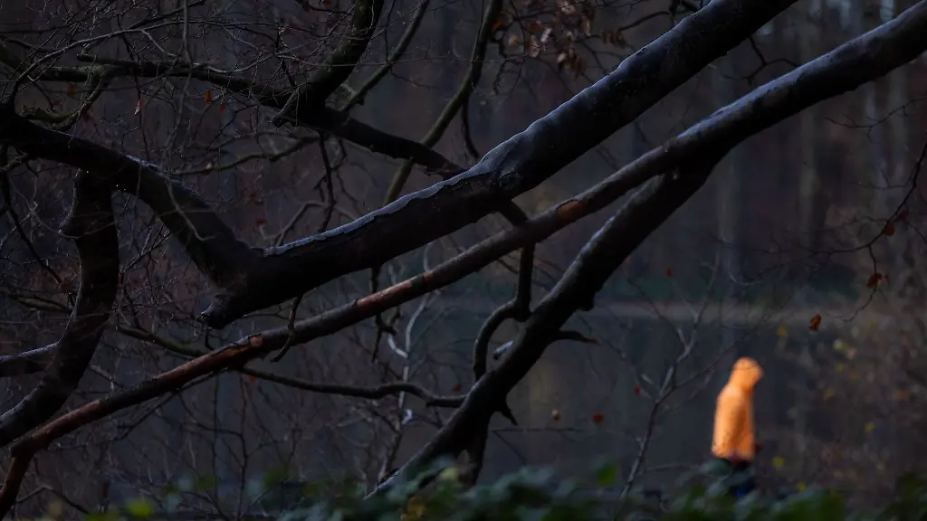 Nach-eisigen-Tagen-koennte-es-in-dieser-Woche-etwas-waermer-werden