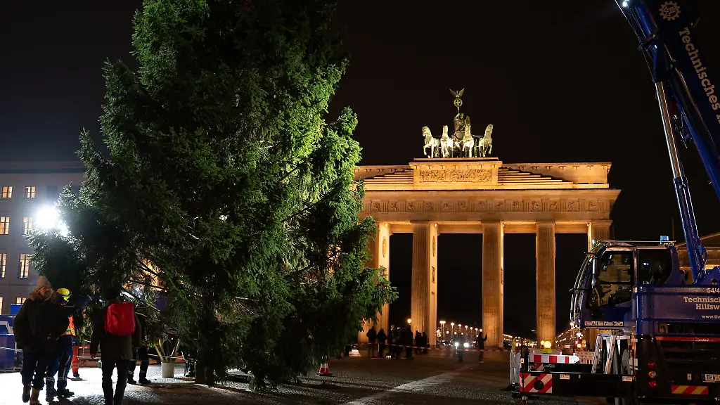 Dieses-Mal-ist-es-ein-sehr-voller-Baum-Wir-hatten-schon-welche-die-waren-deutlicher-kahler-ist-sich-THW-Einsatzleiter-Julius-Kerkhoff-sicher