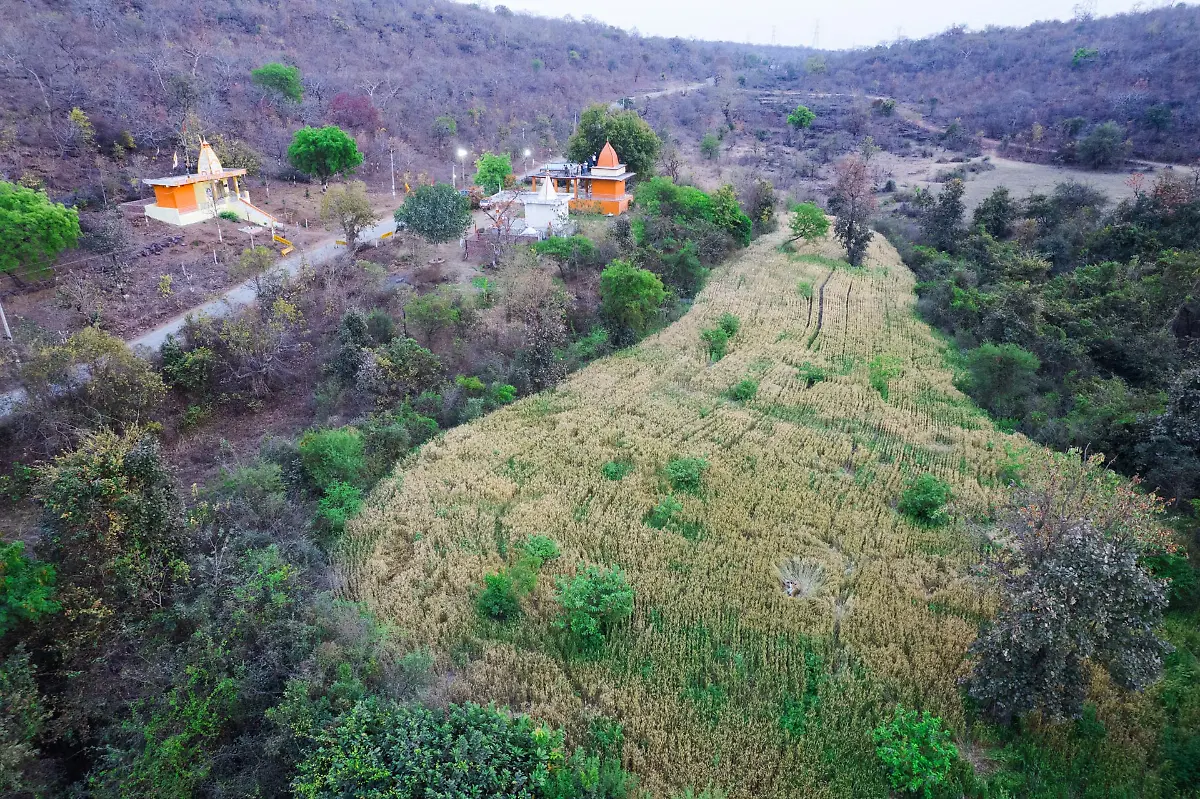 Runnerup_Coexistence_Kasim_Mohammed