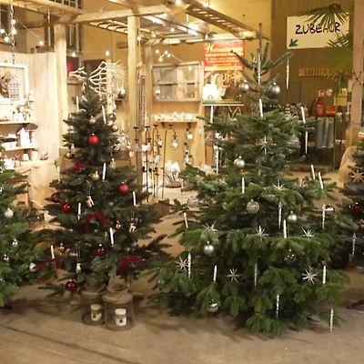 Knstliche Weihnachtsbume im Test: Welche Kunsttanne von Pure Living, RS  Trade-Store oder Wolkenland berzeugt? - ntv.de