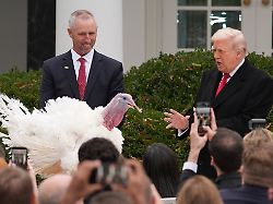 Tiere lebten kurzzeitig im Luxus: Trump begnadigt Truthähne und teilt gegen Demokraten aus