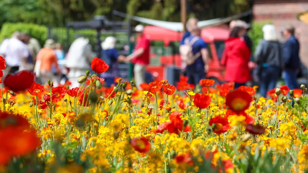 2022-lockte-Beelitz-um-die-560-000-Besucher-zur-Landesgartenschau