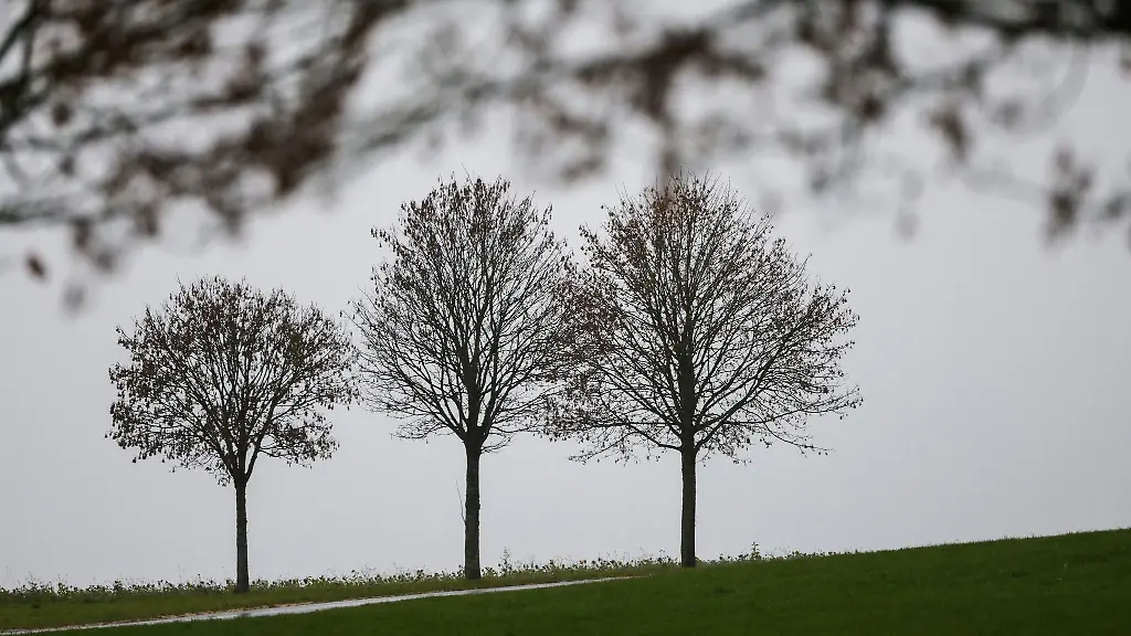 Es-bleibt-in-den-naechsten-Tagen-eher-grau-im-Suedwesten