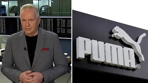 FrankPumaVorschau