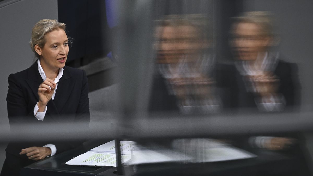 Berlin-Tag-Macht-Mit-Alice-Weidel-auf-dem-Buzzword-Dancefloor-der-Polit-Plattit-den