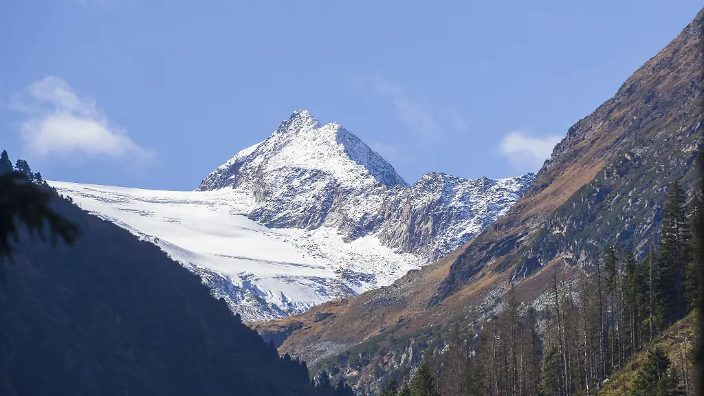 Wald-und-Berge-mit-Stubaier-Gletscher-und-Aperer-Pfaff-bei-Ranalt-im-Herbst-Ranalt-Neustift-im-Stubaital-Stubaital-Tirol-Oesterreich