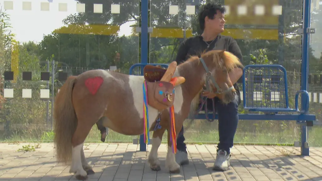 Simone-wartet-mit-Pony-Picco-auf-ihren-Hofmann-Frank-Die-Verwendung-des-sendungsbezogenen-Materials-ist-nur-mit-dem-Hinweis-und-Verlinkung-auf-RTL-gestattet