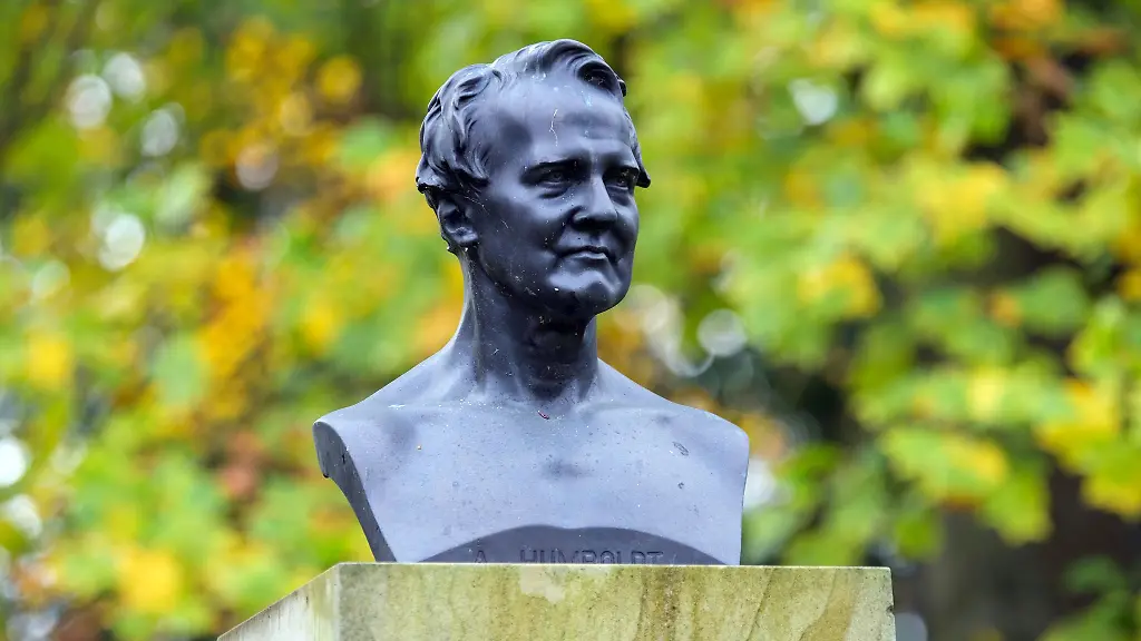 Die-renommierte-Bioingenieurin-Sahika-Inal-hat-eine-Humboldt-Professur-erhalten-und-soll-kuenftig-in-Dresden-forschen