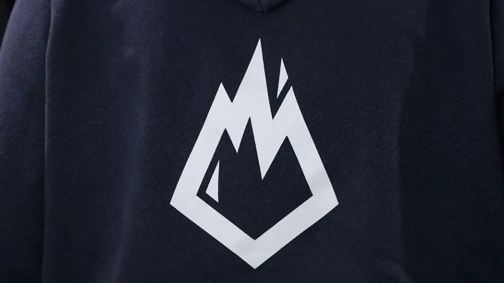 Eine-Teilnehmerin-des-AfD-Bundesparteitags-traegt-einen-Pullover-mit-dem-Logo-der-AfD-Jugendorganisation-Junge-Alternative-JA