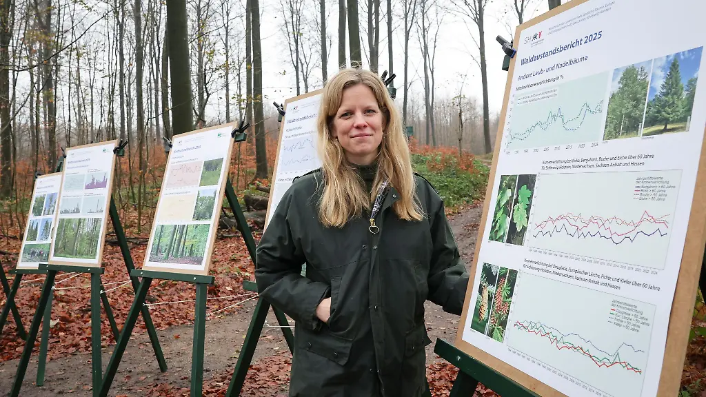 Wissenschaft-im-Wald-Der-Zustand-der-Baeume-hat-sich-ueber-das-Jahr-leicht-verbessert