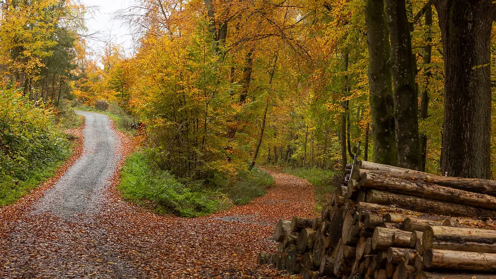 Der-Deutsche-Wetterdienst-zieht-Bilanz-zum-Herbst-in-Hessen