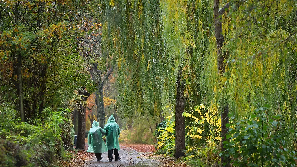 Besonders-der-Oktober-war-laut-der-DWD-Meteorolgen-ein-nasser-und-trueber-Herbstabschnitt