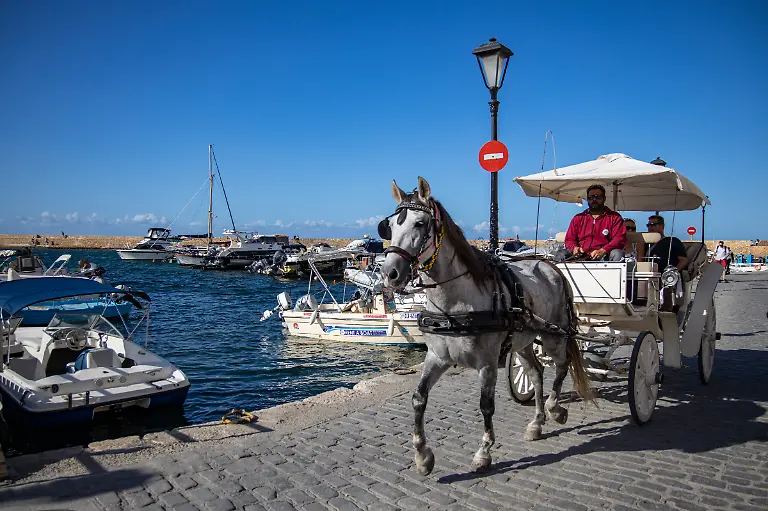 Bild-31-von-40-2020-10-14-045