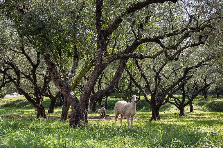 Bild-26-von-40-2020-10-13-027