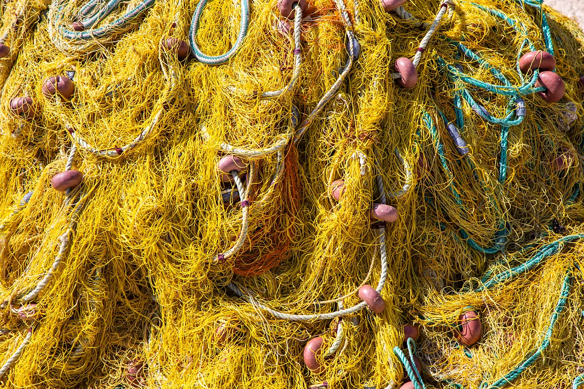 Bild-19-von-40-2020-10-11-050