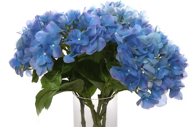 Die-leuchtend-blauen-Kunstblumen-aus-Silikon-und-Latex-sind-in-einer-klaren-Glasvase-arrangiert-und-verleihen-jedem-Innenbereich-eine-lebendige-Note-Ideal-fuer-Dekorationen-und-Veranstaltungen-Bright-blue-artificial-flowers-made-from-silicone-and-latex-are-arranged-in-a-clear-glass-vase-adding-a-lively-touch-to-any-indoor-setting-Ideal-for-decorations-and-events-Copyright-imageBROKER-IvanxTraimak-ibxiqx13795768