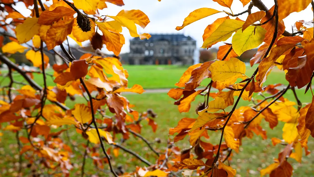 Der-saechsische-Herbst-war-in-diesem-Jahr-mild