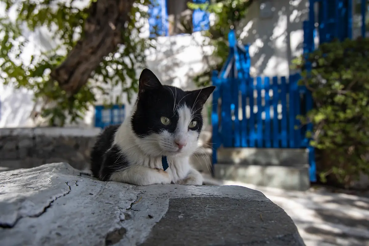 Bild-06-von-40-2020-10-09-034