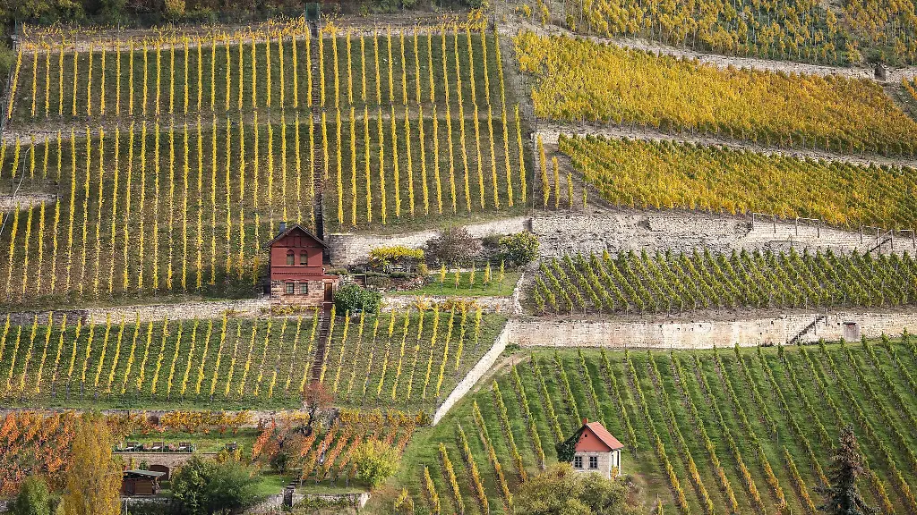 Der-Herbst-in-Sachsen-Anhalt-war-eher-mild