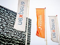 Wolle Kontrolle an sich reißen: Chinesische Konzernmutter Wingtech teilt gegen Nexperia aus