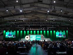 War's das mit Basisdemokratie?: Die Grünen widmen sich ihrem Wachstumsschmerz - trotz Risiken