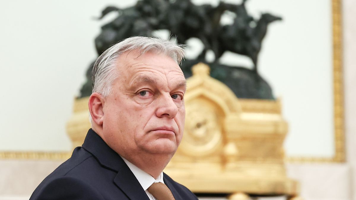 Ungarn-hofft-auf-billiges-Gas-Orban-Ukraine-darf-als-Pufferstaat-weiter-bestehen