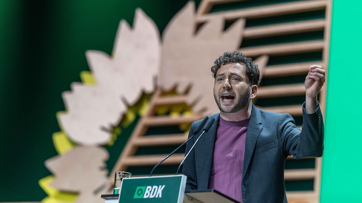 Partei-will-ihren-Ruf-verbessern-Gr-ne-blasen-zum-Klassenkampf-f-r-den-Klimaschutz