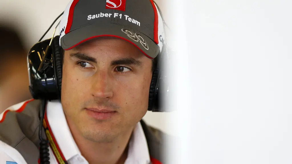 Motorsports-FIA-Formula-One-World-Championship-2014-Grand-Prix-of-Abu-Dhabi-99-Adrian-Sutil-GER-Sauber-F1-Team-xHOCHxZWEIx-Motorsports-FIA-Formula-One-World-Championship-2014-Grand-Prix-of-Abu-Dhabi-99-Adrian-Sutil-ger-clean-F1-team-xHOCHxZWEIx