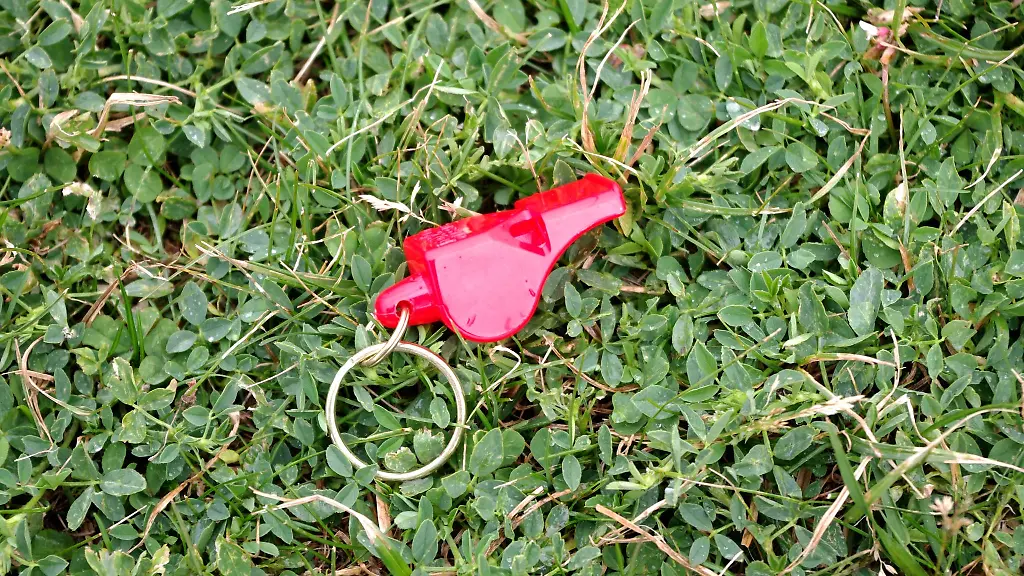 Dem-Streik-waren-Angriffe-und-Beleidigungen-gegen-Schiedsrichter-vorausgegangen