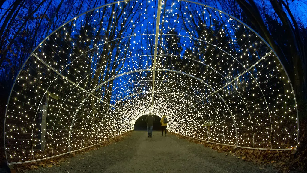 Hunderttausende-LED-Lichter-erhellen-auch-den-Pfad-und-den-Aussichtsturm-Adlerhorst