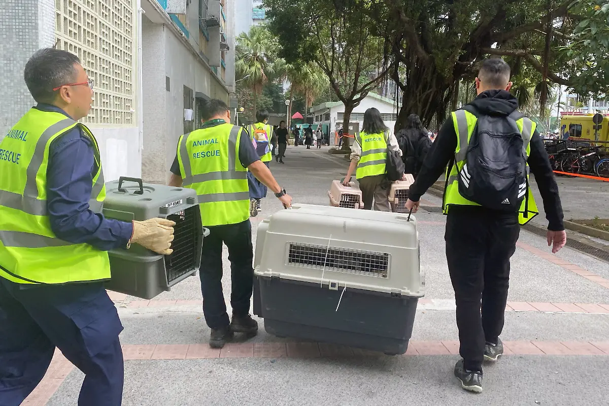 A-team-from-the-Society-for-the-Prevention-of-Cruelty-to-Animals-SPCA-arrives-with-pet-carriers-to-Wang-Fuk-Court-housing-complex-where-a-major-fire-erupted-in-Hong-Kong-China-November-27-2025