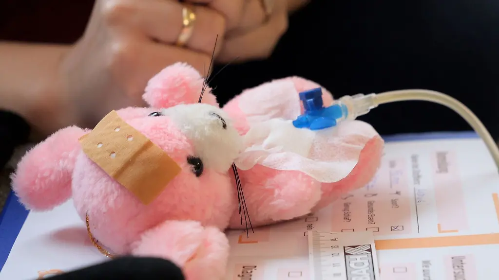 Die-pinkfarbene-Stoffmaus-Mausi-kam-mit-Bauchschmerzen-zum-Arzt-und-wurde-in-Bissendorf-liebevoll-von-kleinen-Haenden-versorgt