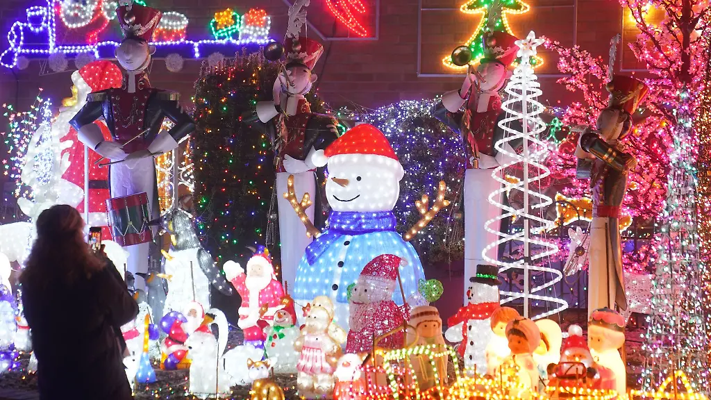 Helle-Weihnachtsbeleuchtung-kann-Tiere-nachts-beeintraechtigen