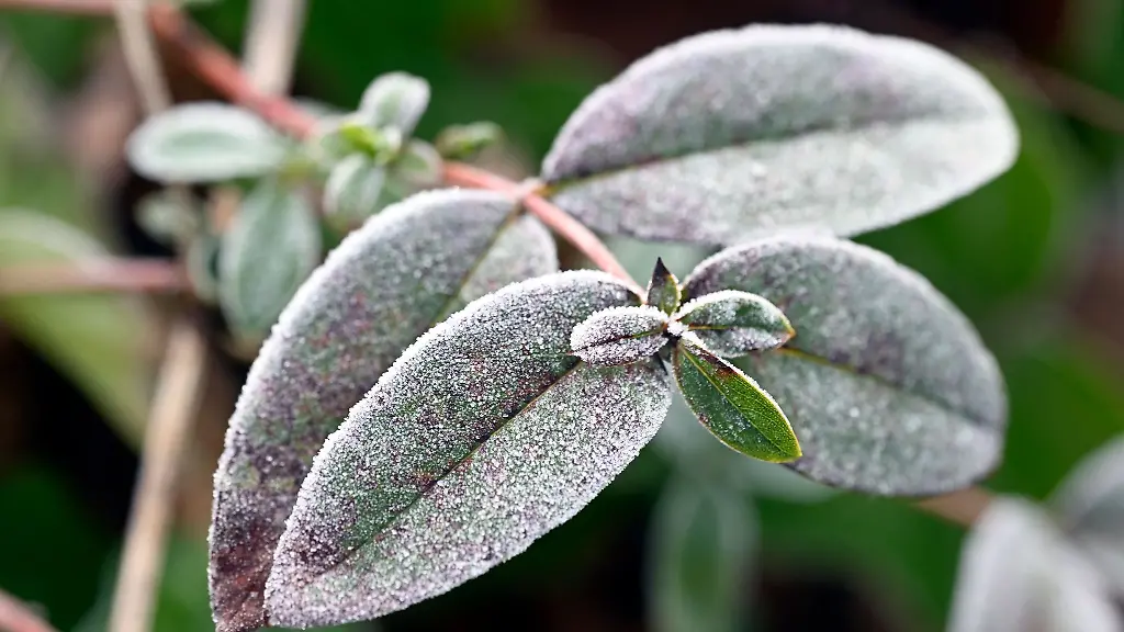 Kalter-Wochenstart-mit-Frost-Glaette-und-Nebel-in-NRW