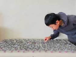 Technik für Katastrophenhilfe: 14-Jähriger gewinnt 25.000 Dollar mit Origami