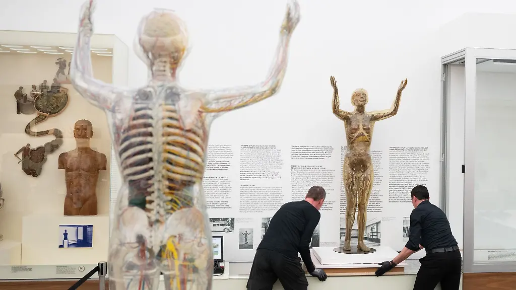 Das-historische-Modell-der-Glaesernen-Frau-wird-im-Deutschen-Hygiene-Museum-fortan-in-einer-Klimavitrine-praesentiert