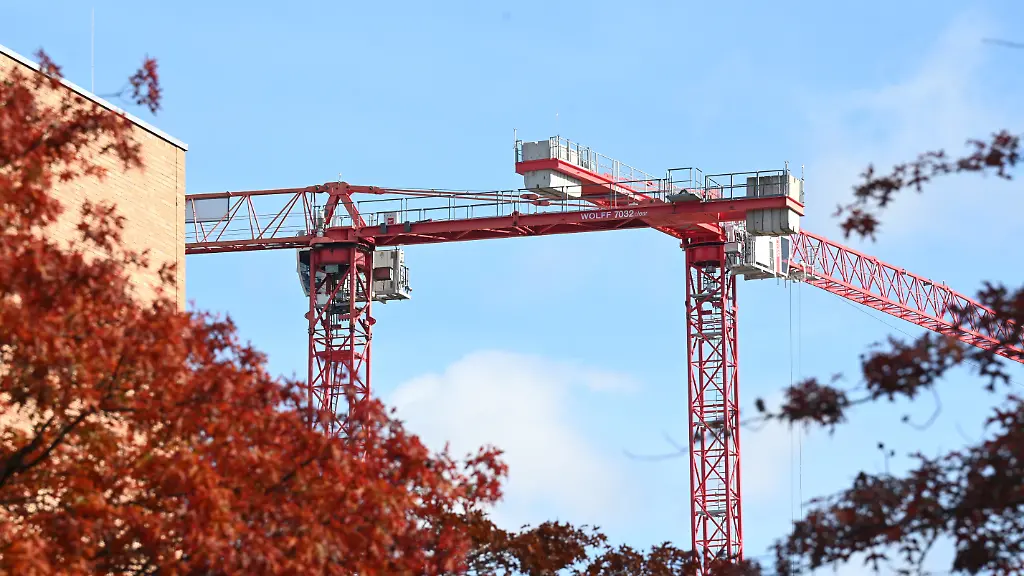 Zwei-Baukraene-sind-am-Himmel-hinter-herbstlichen-Baeumen-neben-einem-Gebaeude-zu-sehen