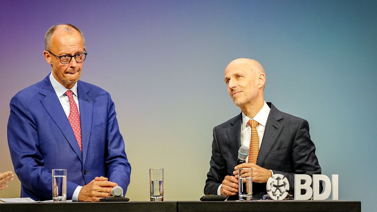 Industrieverband-verlangt-Tempo-BDI-Chef-sieht-Standort-Deutschland-im-freien-Fall-