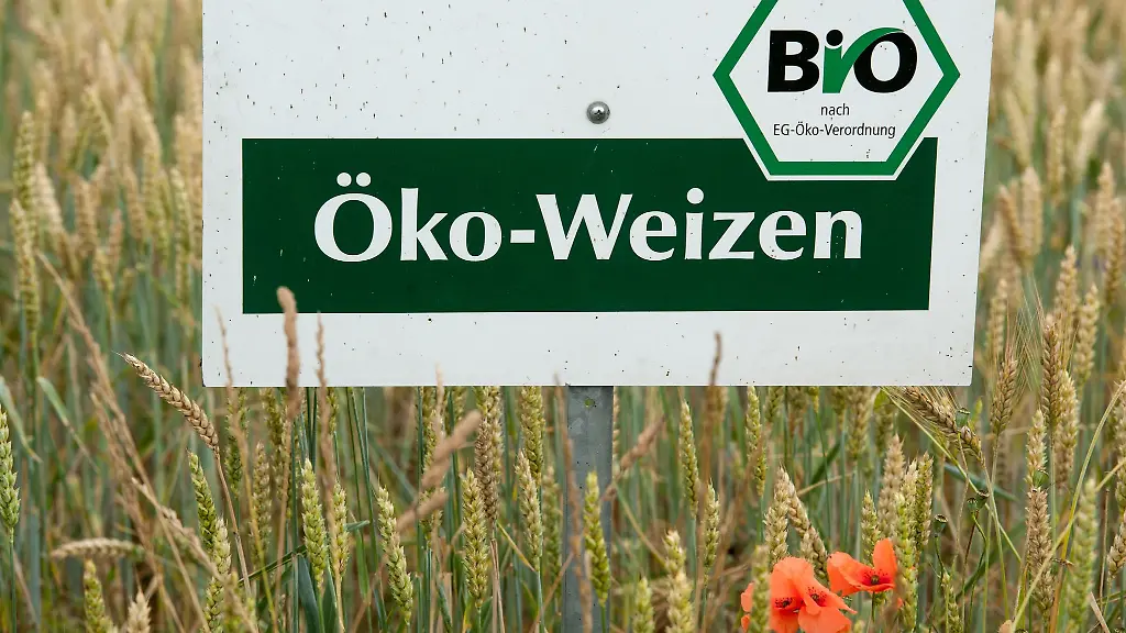 Der-Oekolandbau-ist-in-Bayern-trotz-gesetzlich-festgelegter-Ausbauziele-noch-immer-eher-die-Ausnahme-als-die-Regel