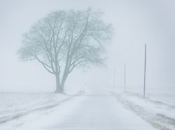 Polarwirbel friert USA teils ein: Minus 30 Grad - kommt der Kälteschock auch zu uns?