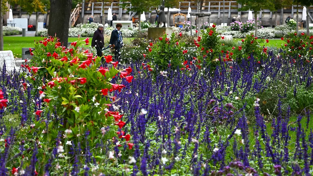 Im-vergangenen-Jahr-fand-die-Landesgartenschau-in-Bad-Duerrenberg-statt