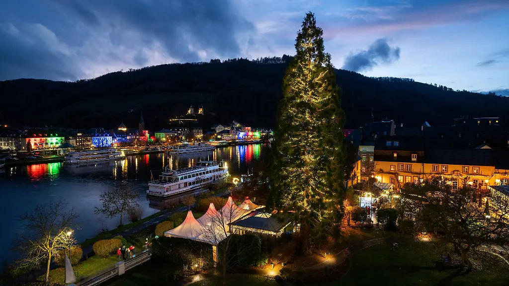 In-Traben-Trarbach-steht-ein-besonderer-Weihnachtsbaum