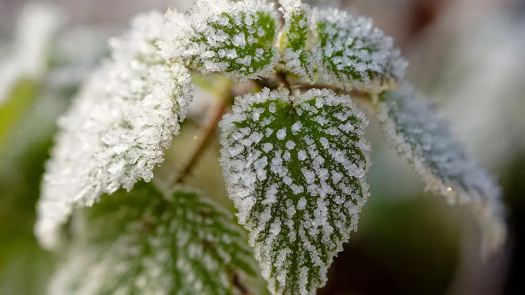 Es-bleibt-kalt-in-Baden-Wuerttemberg