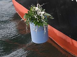 Rheinland-Pfalz & Saarland: Erster Bestatter bekommt Erlaubnis für Flussbestattungen