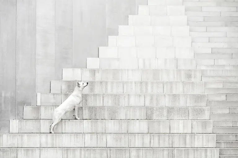 e0e97e00-7db0-11f0-98b8-f957f4d0e700